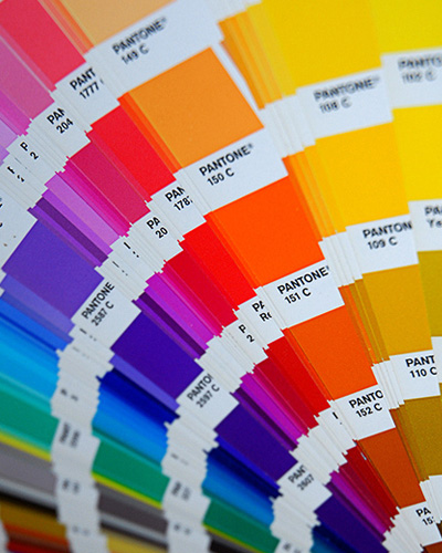 Discover The Latest Kitchen Colour Trends