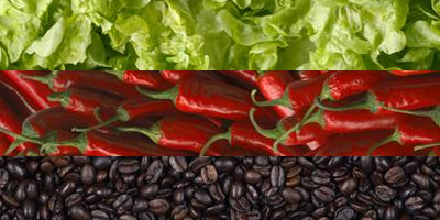 edged kitchen doors canberra